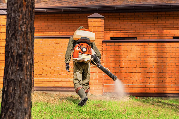 Trusted Ant Control service in Okemos, MI - Nex Pest Control